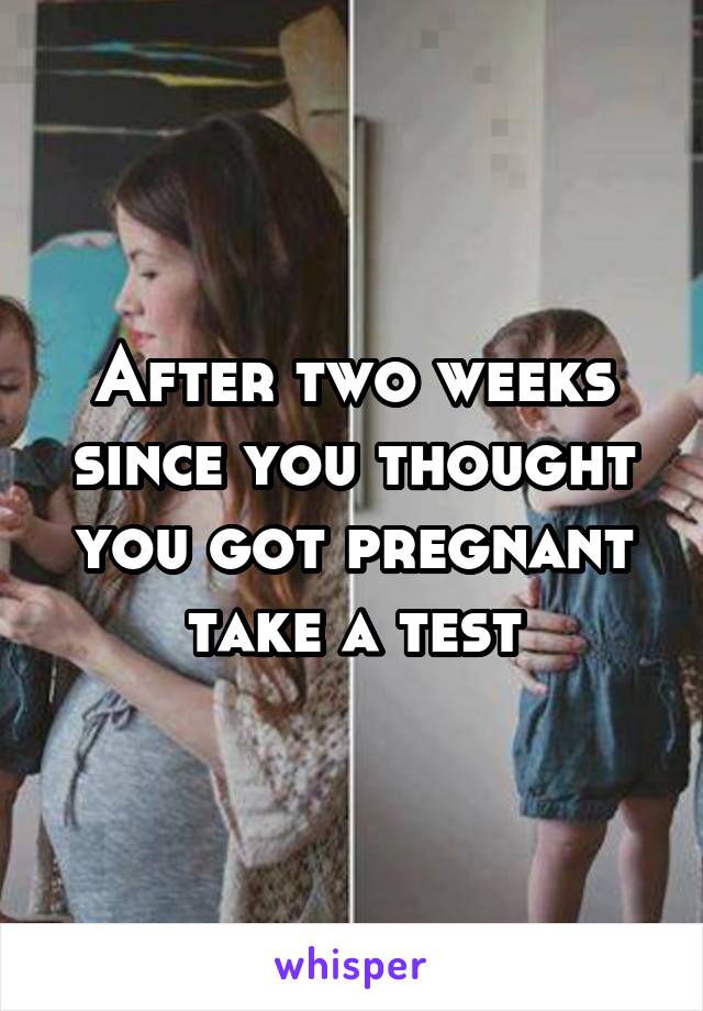 After two weeks since you thought you got pregnant take a test