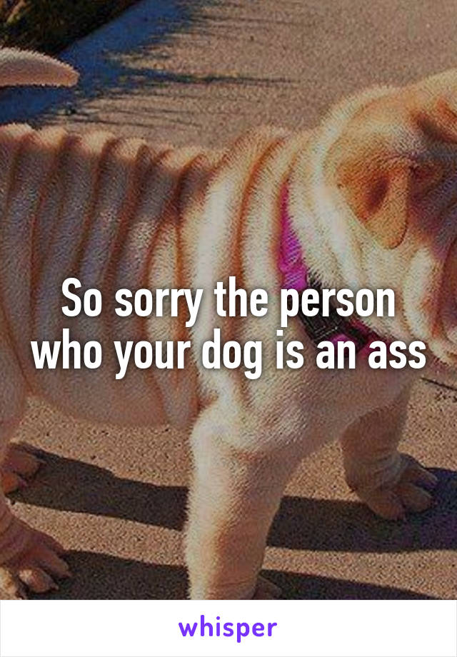 So sorry the person who your dog is an ass