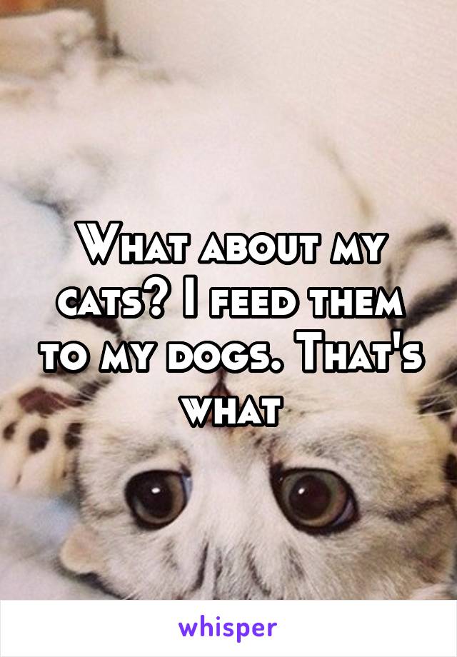 What about my cats? I feed them to my dogs. That's what