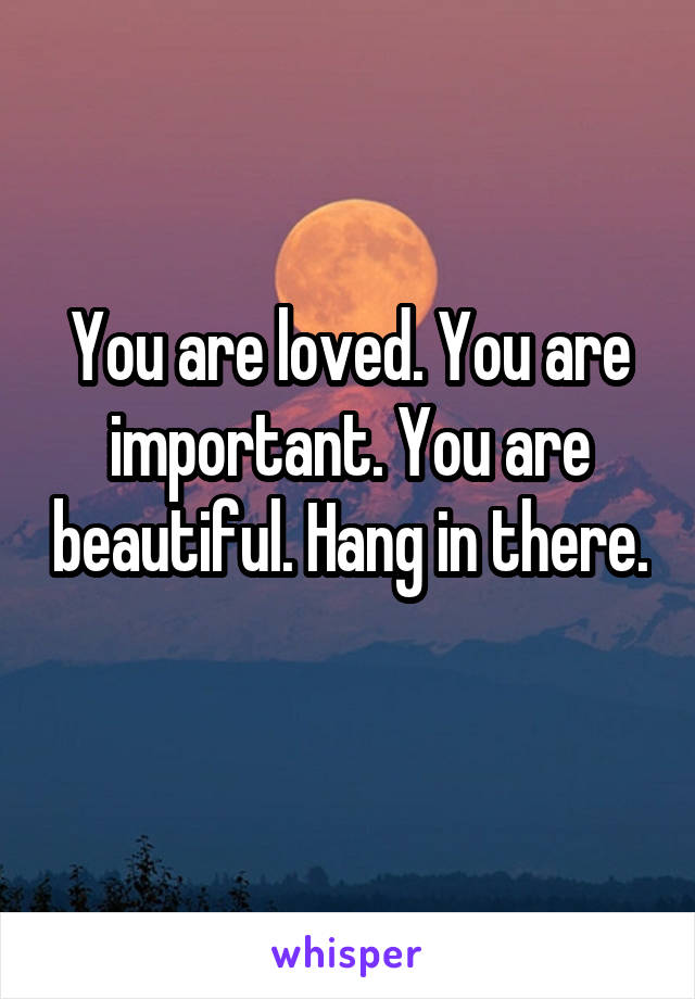 You are loved. You are important. You are beautiful. Hang in there. 