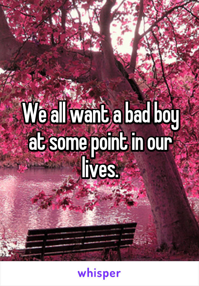 We all want a bad boy at some point in our lives.