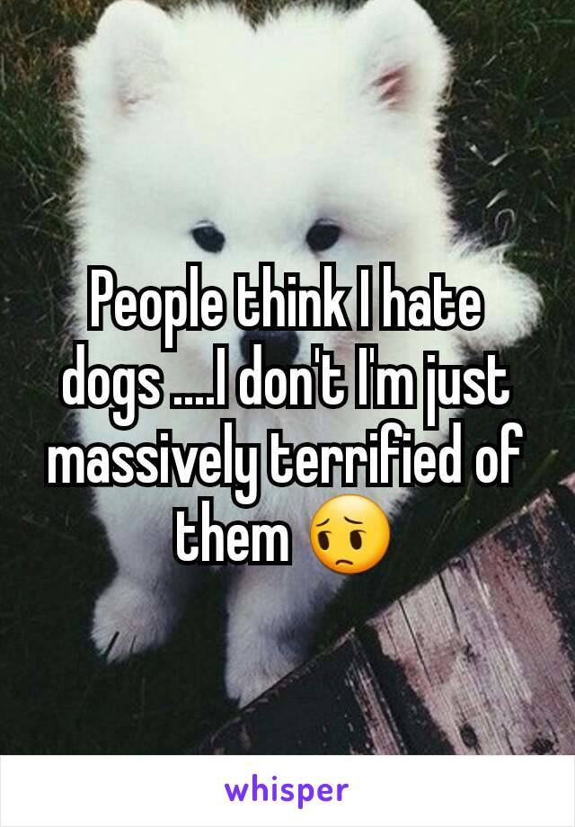 People think I hate dogs ....I don't I'm just massively terrified of them 😔