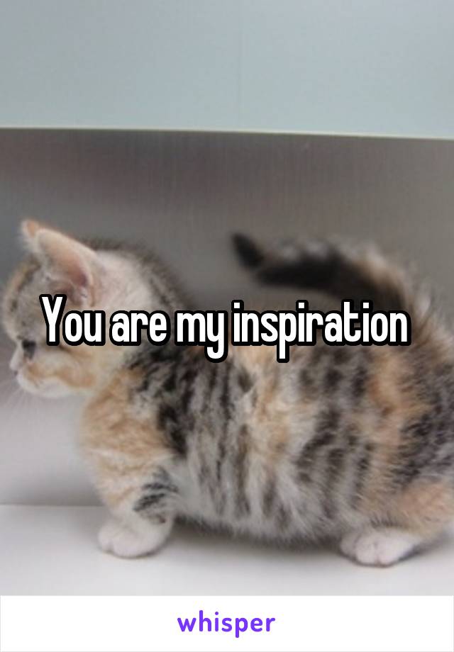 You are my inspiration 