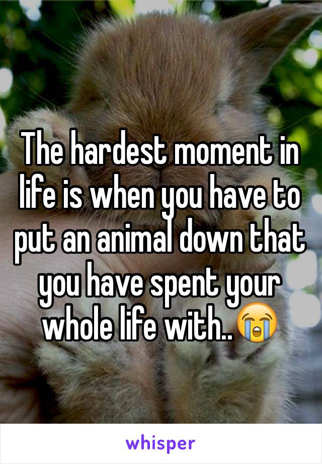 The hardest moment in life is when you have to put an animal down that you have spent your whole life with..😭