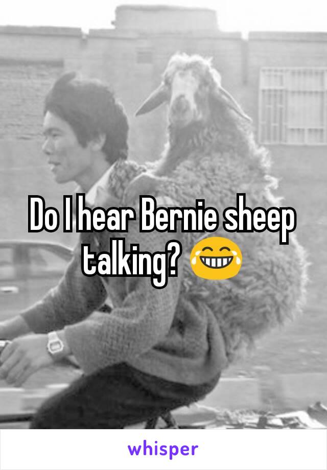 Do I hear Bernie sheep talking? 😂