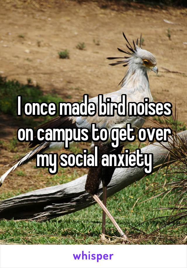I once made bird noises on campus to get over my social anxiety