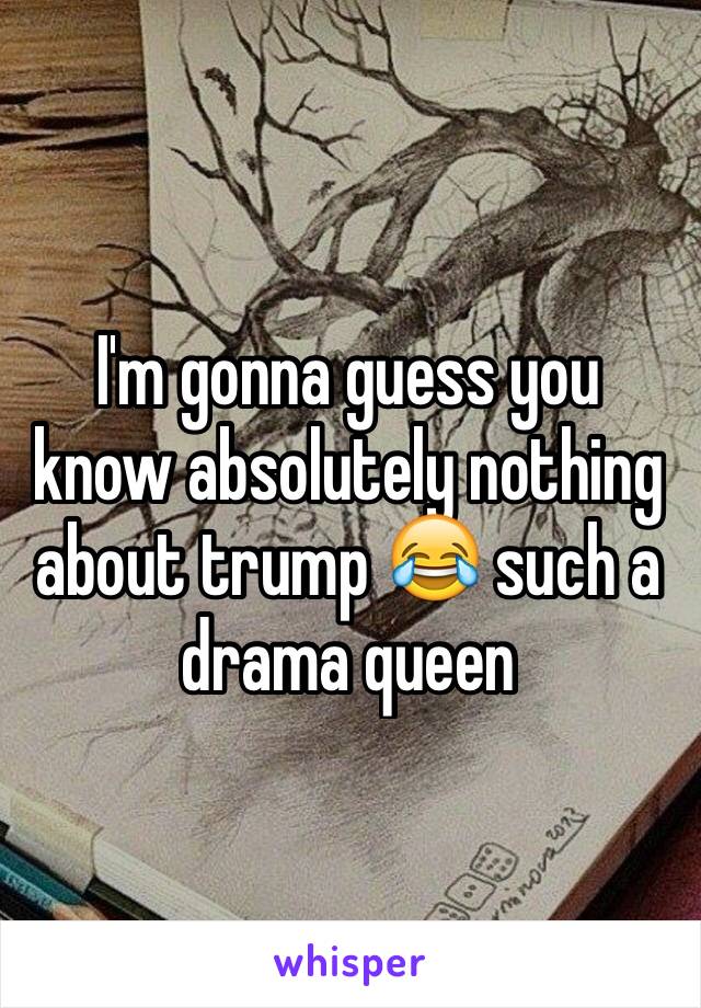 I'm gonna guess you know absolutely nothing about trump 😂 such a drama queen