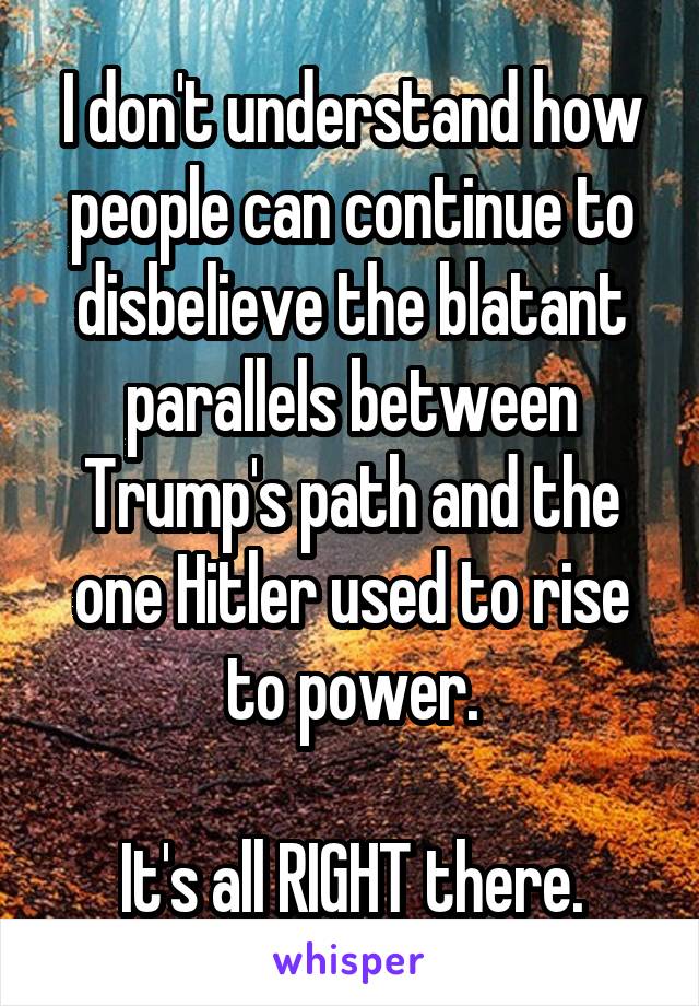 I don't understand how people can continue to disbelieve the blatant parallels between Trump's path and the one Hitler used to rise to power.

It's all RIGHT there.