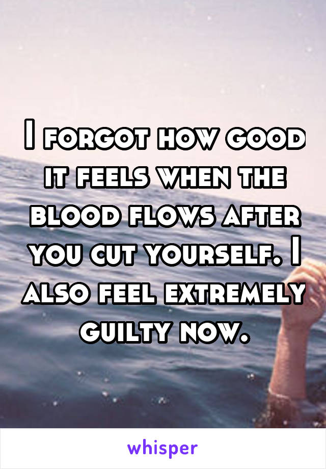 I forgot how good it feels when the blood flows after you cut yourself. I also feel extremely guilty now.