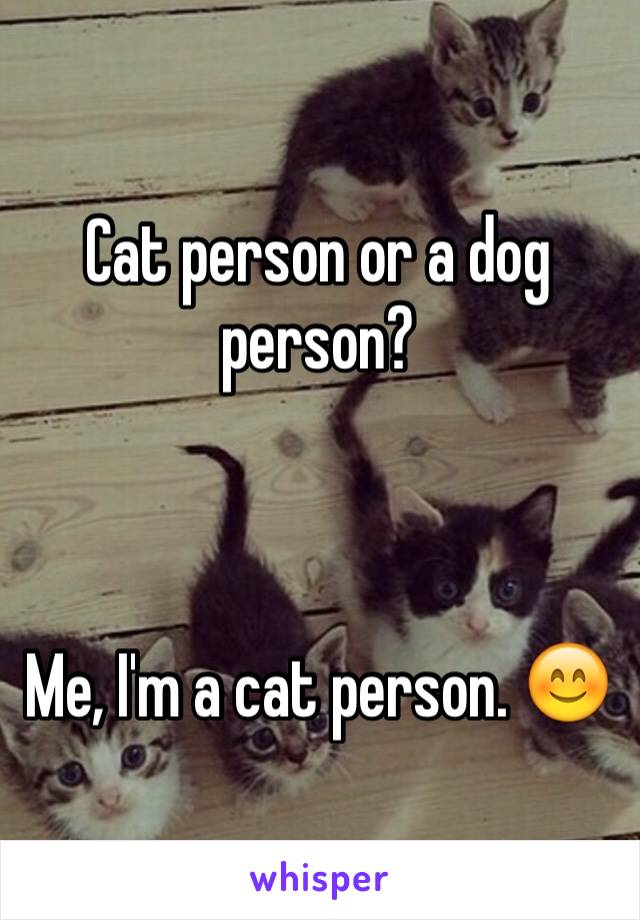 Cat person or a dog person?



Me, I'm a cat person. 😊