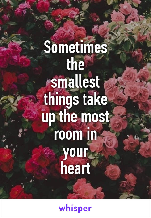 Sometimes
the
smallest
things take
up the most
room in
your
heart