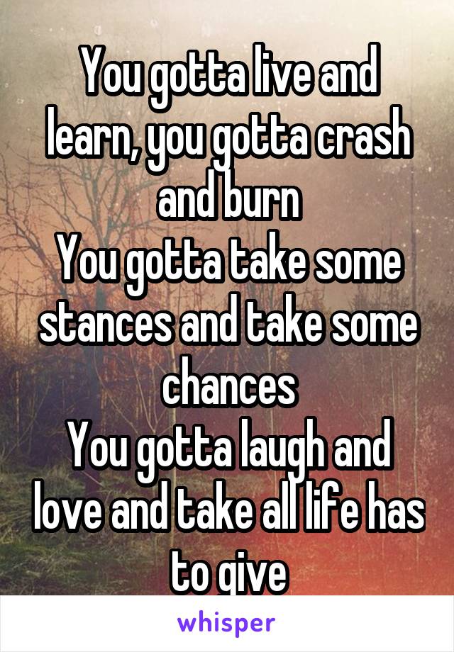 You gotta live and learn, you gotta crash and burn
You gotta take some stances and take some chances
You gotta laugh and love and take all life has to give