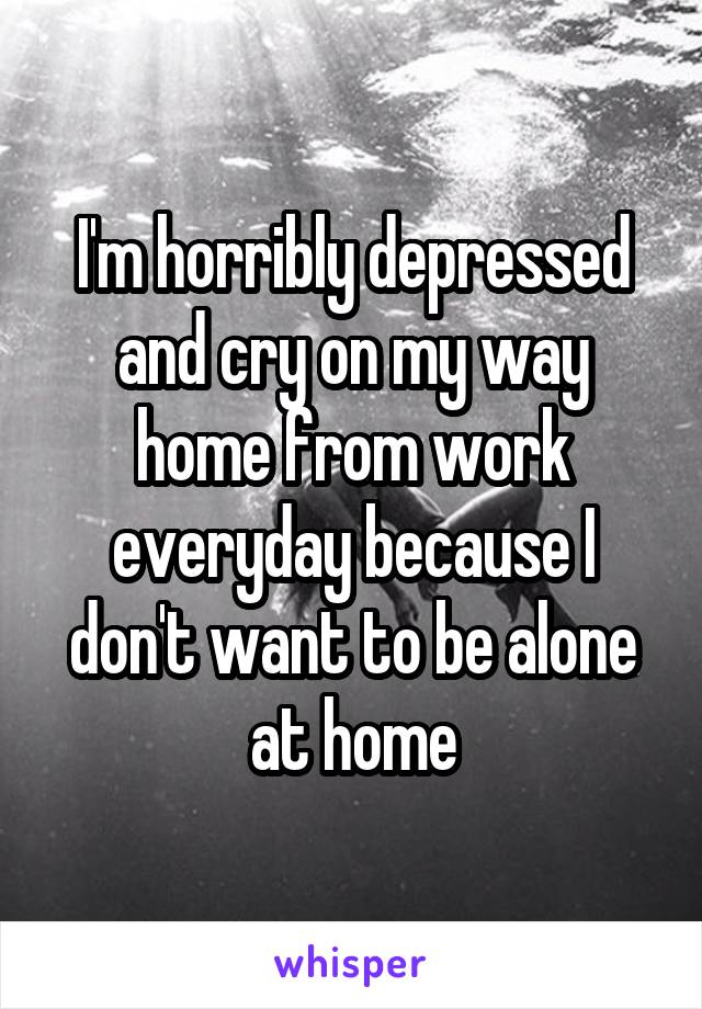 I'm horribly depressed and cry on my way home from work everyday because I don't want to be alone at home