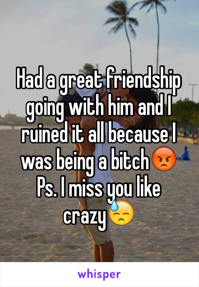 Had a great friendship going with him and I ruined it all because I was being a bitch😡 
Ps. I miss you like crazy😓