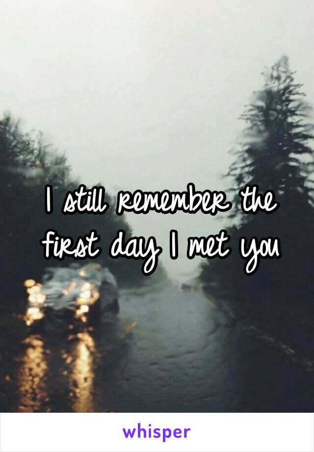 I still remember the first day I met you