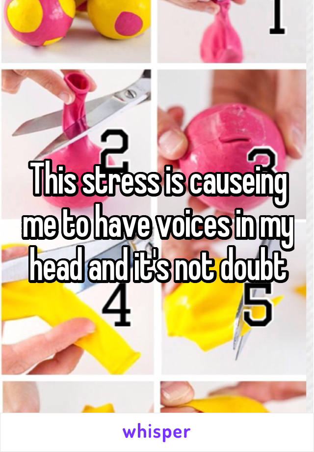 This stress is causeing me to have voices in my head and it's not doubt