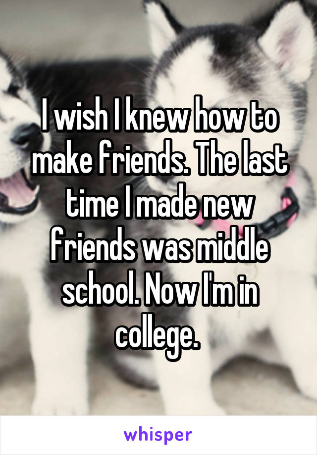 I wish I knew how to make friends. The last time I made new friends was middle school. Now I'm in college. 