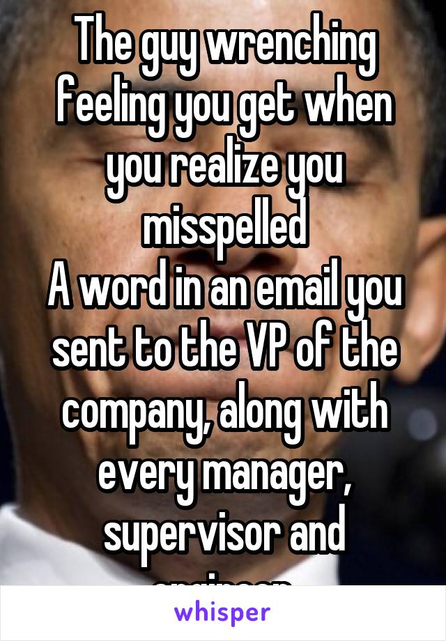 The guy wrenching feeling you get when you realize you misspelled
A word in an email you sent to the VP of the company, along with every manager, supervisor and engineer.