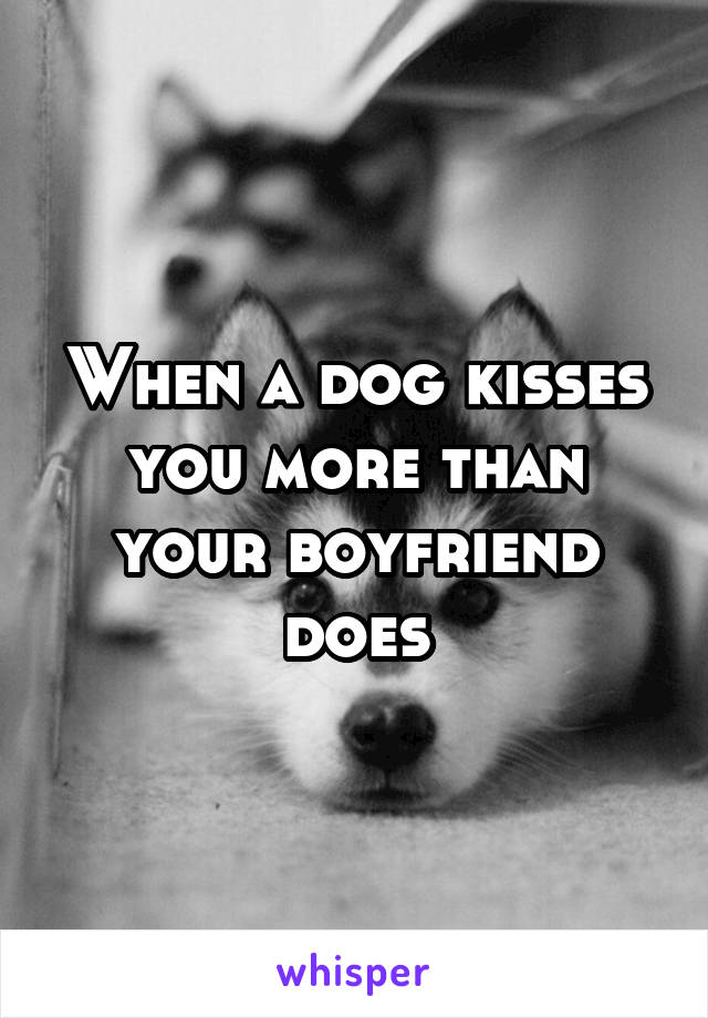 When a dog kisses you more than your boyfriend does