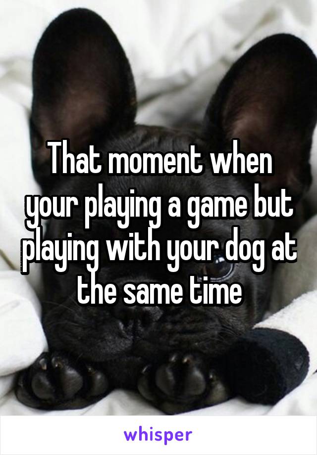 That moment when your playing a game but playing with your dog at the same time