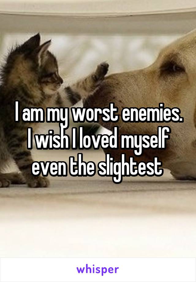 I am my worst enemies. I wish I loved myself even the slightest 