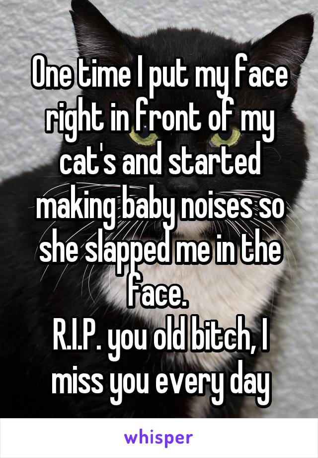 One time I put my face right in front of my cat's and started making baby noises so she slapped me in the face. 
R.I.P. you old bitch, I miss you every day