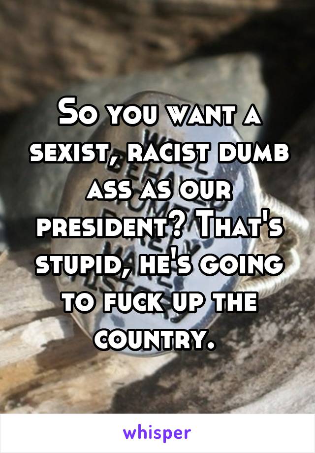 So you want a sexist, racist dumb ass as our president? That's stupid, he's going to fuck up the country. 