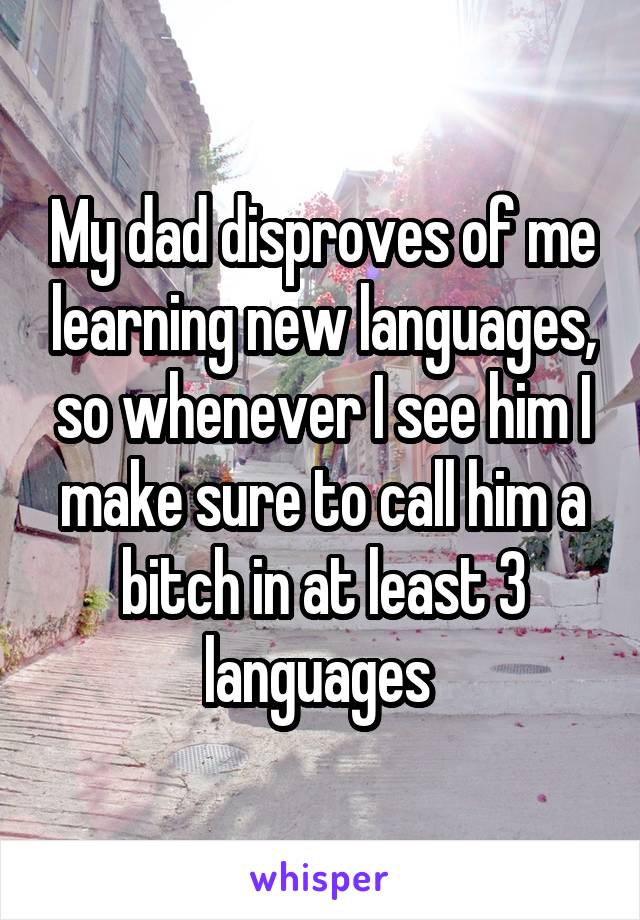 My dad disproves of me learning new languages, so whenever I see him I make sure to call him a bitch in at least 3 languages 