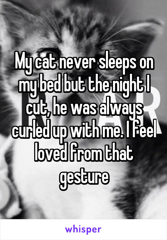 My cat never sleeps on my bed but the night I cut, he was always curled up with me. I feel loved from that gesture