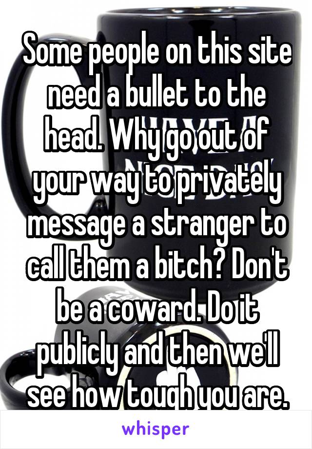 Some people on this site need a bullet to the head. Why go out of your way to privately message a stranger to call them a bitch? Don't be a coward. Do it publicly and then we'll see how tough you are.