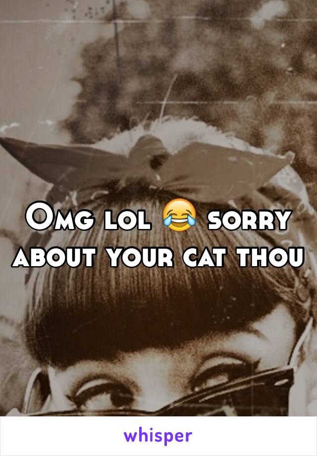 Omg lol 😂 sorry about your cat thou 