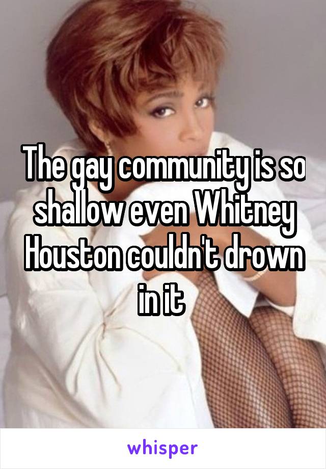 The gay community is so shallow even Whitney Houston couldn't drown in it 