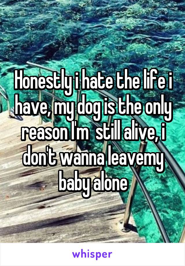 Honestly i hate the life i have, my dog is the only reason I'm  still alive, i don't wanna leavemy baby alone