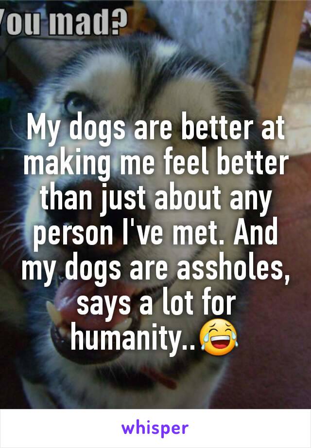 My dogs are better at making me feel better than just about any person I've met. And my dogs are assholes, says a lot for humanity..😂