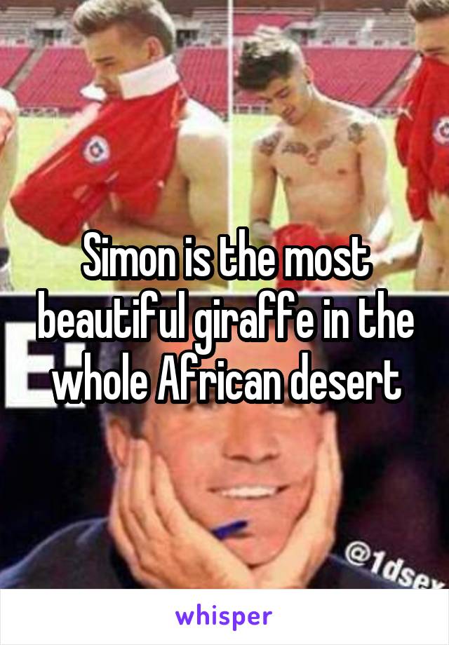 Simon is the most beautiful giraffe in the whole African desert