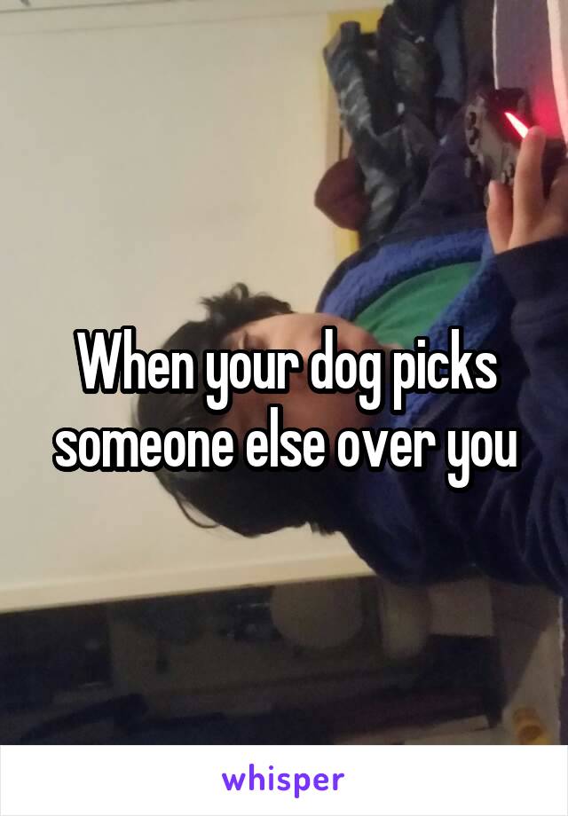 When your dog picks someone else over you
