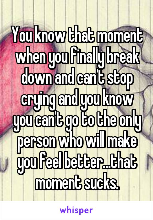 You know that moment when you finally break down and can't stop crying and you know you can't go to the only person who will make you feel better...that moment sucks.
