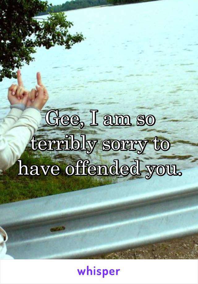 Gee, I am so terribly sorry to have offended you.