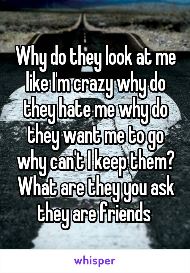 Why do they look at me like I'm crazy why do they hate me why do they want me to go why can't I keep them? What are they you ask they are friends 