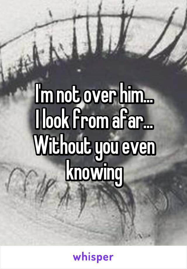 I'm not over him...
I look from afar...
Without you even knowing