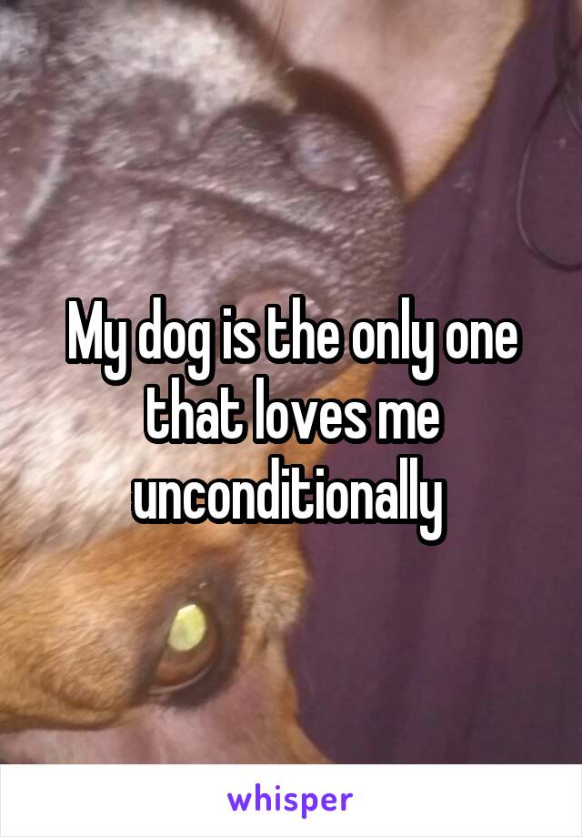 My dog is the only one that loves me unconditionally 