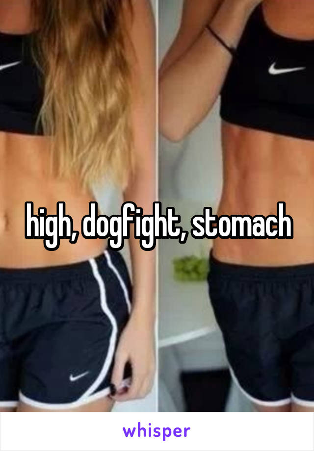 high, dogfight, stomach