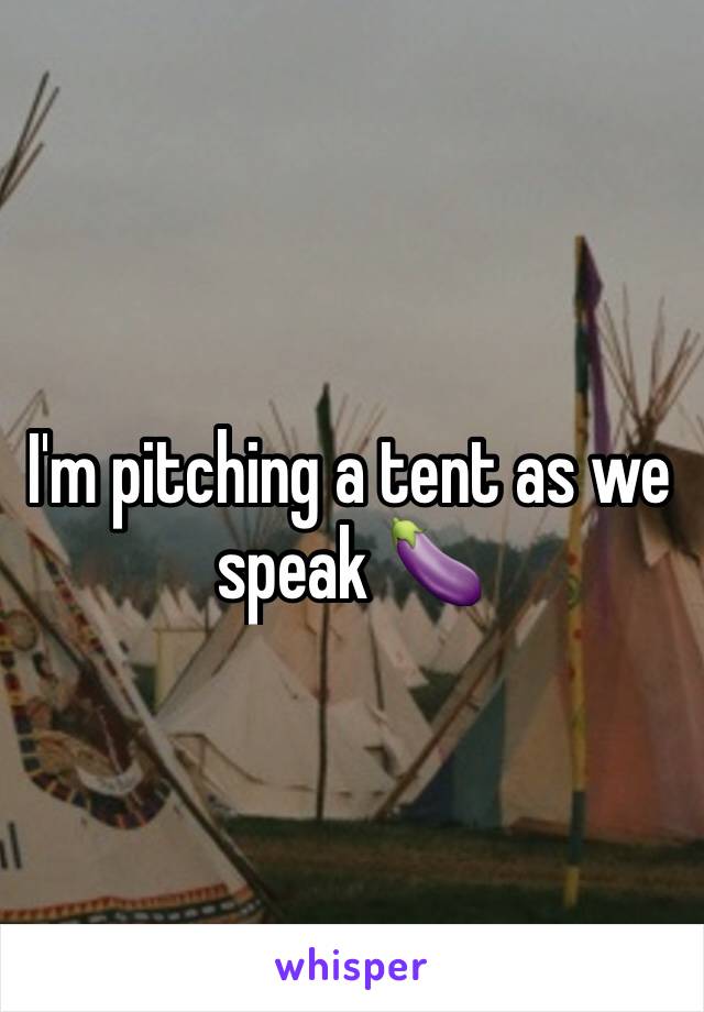 I'm pitching a tent as we speak 🍆