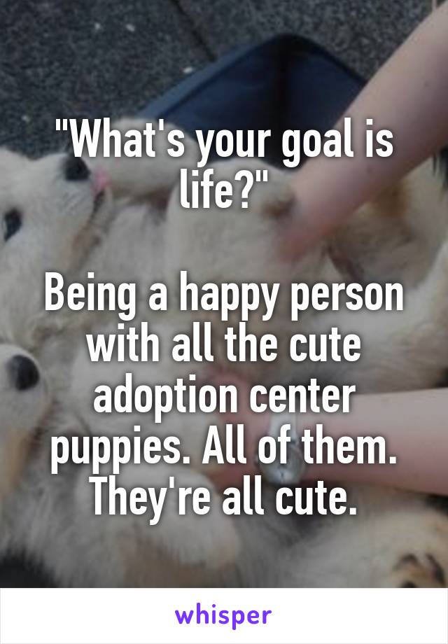 "What's your goal is life?"

Being a happy person with all the cute adoption center puppies. All of them. They're all cute.