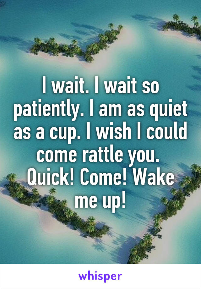 I wait. I wait so patiently. I am as quiet as a cup. I wish I could come rattle you.  Quick! Come! Wake me up!