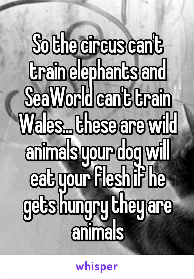 So the circus can't train elephants and SeaWorld can't train Wales... these are wild animals your dog will eat your flesh if he gets hungry they are animals