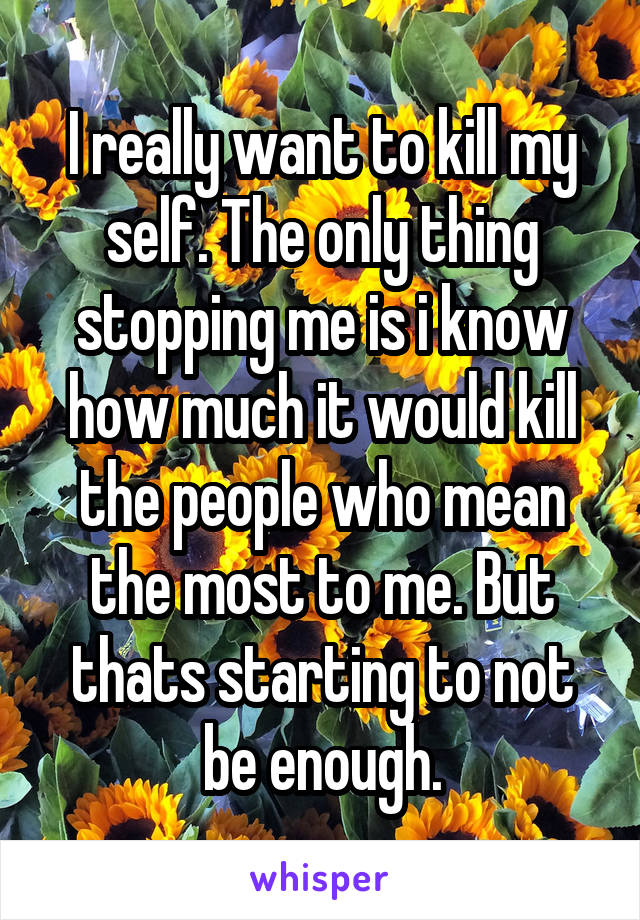 I really want to kill my self. The only thing stopping me is i know how much it would kill the people who mean the most to me. But thats starting to not be enough.