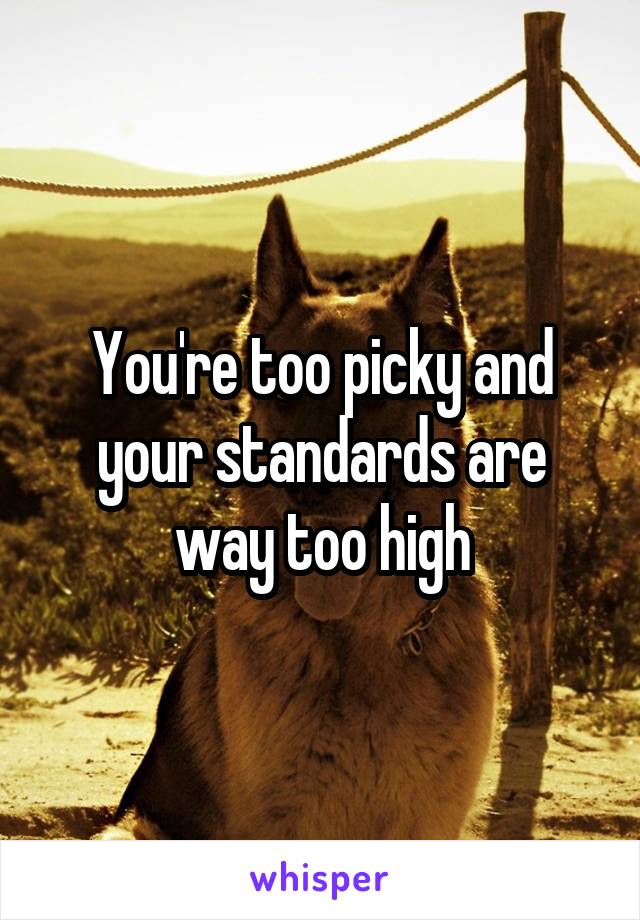 You're too picky and your standards are way too high