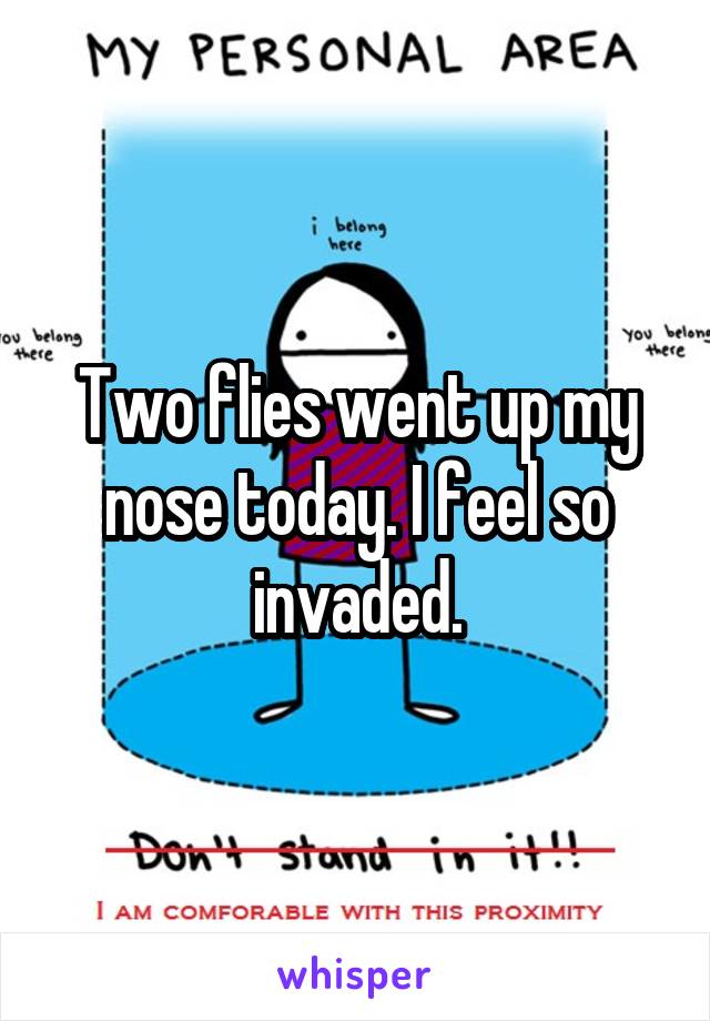 Two flies went up my nose today. I feel so invaded.