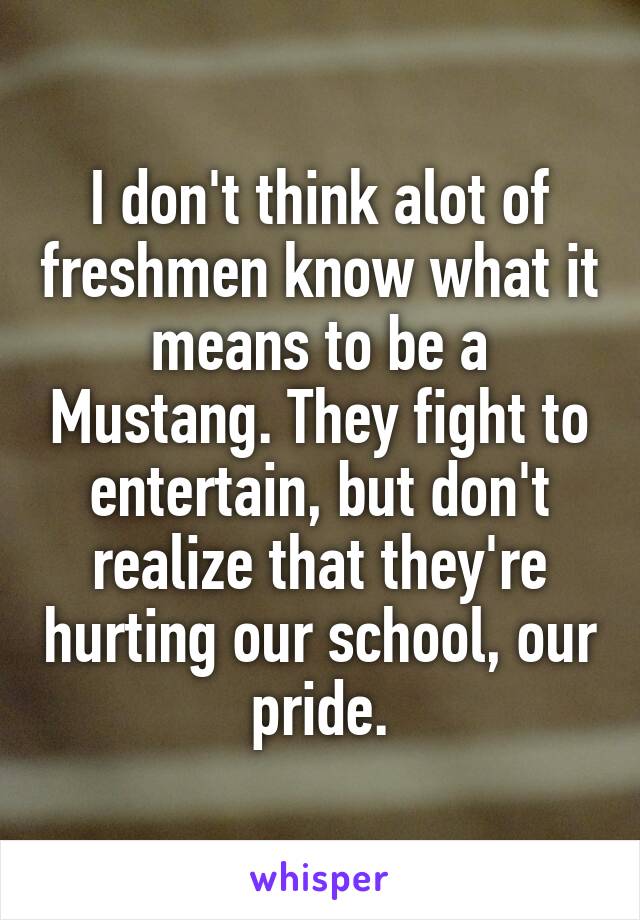 I don't think alot of freshmen know what it means to be a Mustang. They fight to entertain, but don't realize that they're hurting our school, our pride.